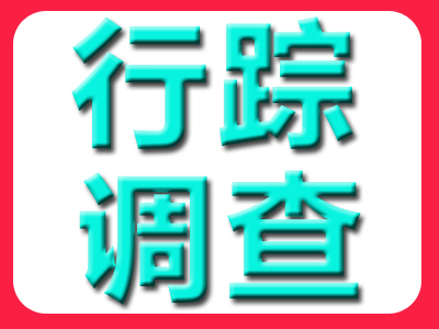 行踪调查取证