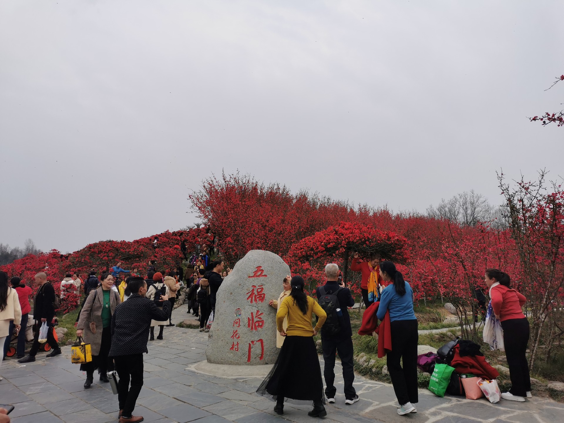 微信图片_20230720122123.jpg
