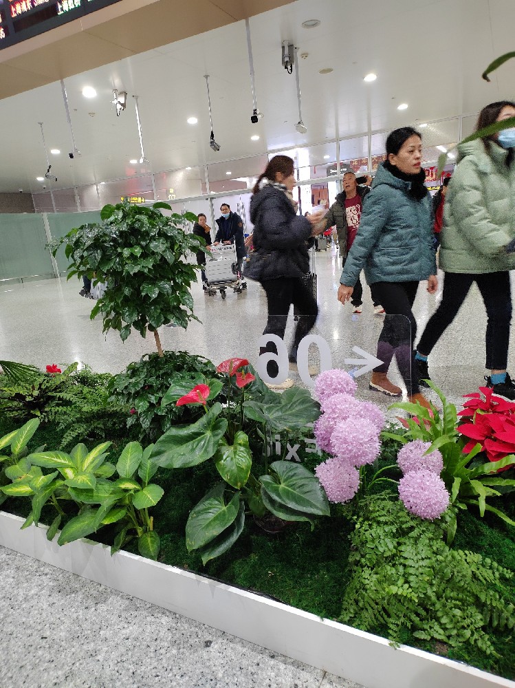 成都市私家侦探公司的由来