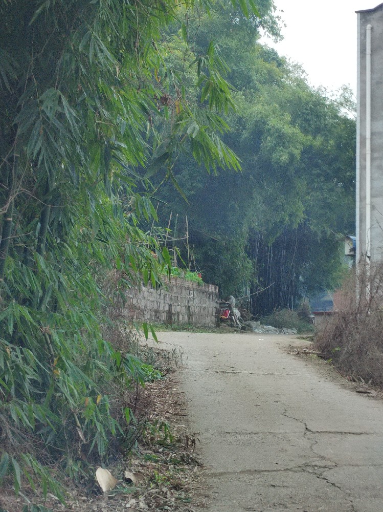绵阳市找到专业寻人找人公司的指南