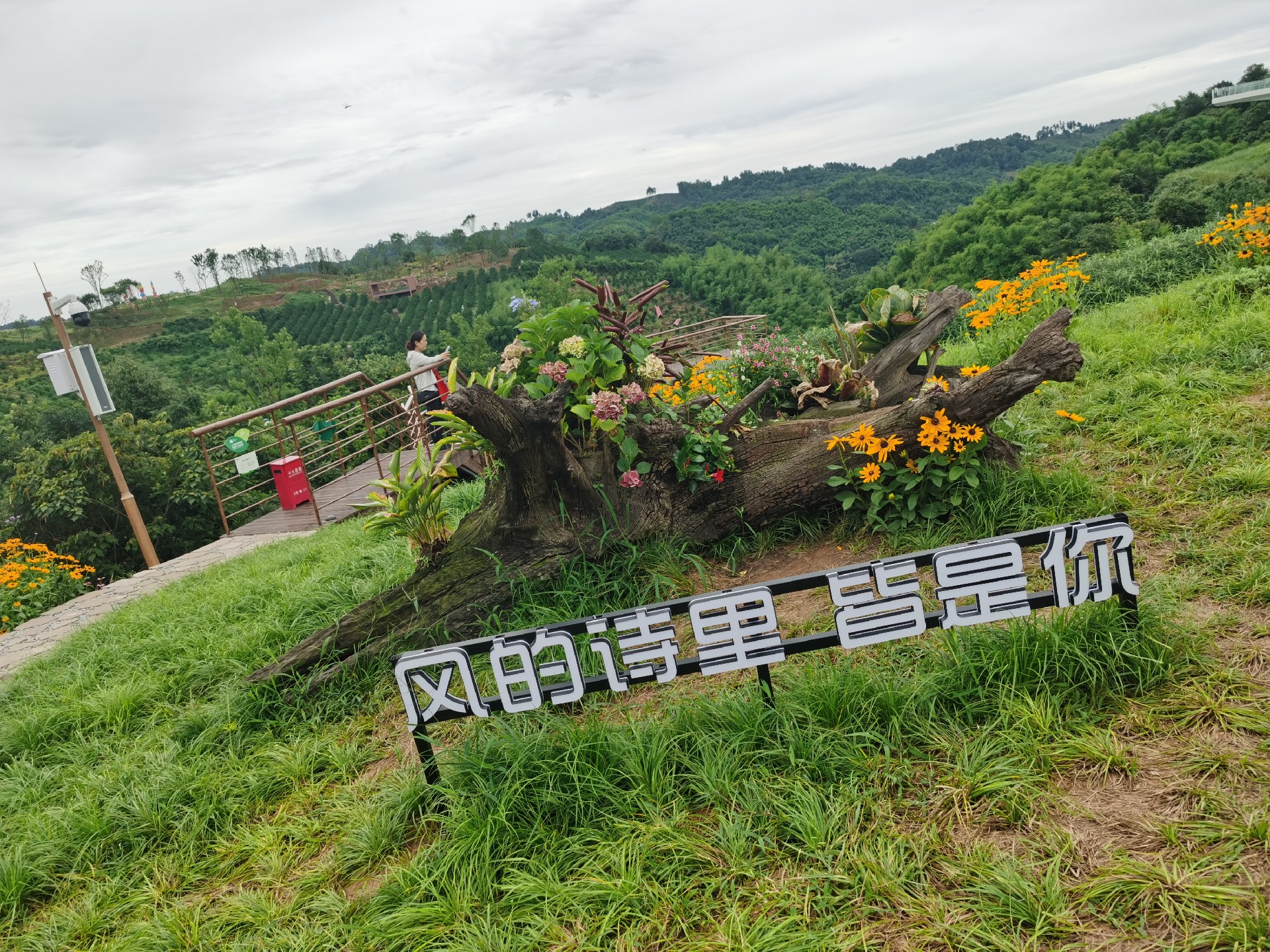 微信图片_20240816142729.jpg