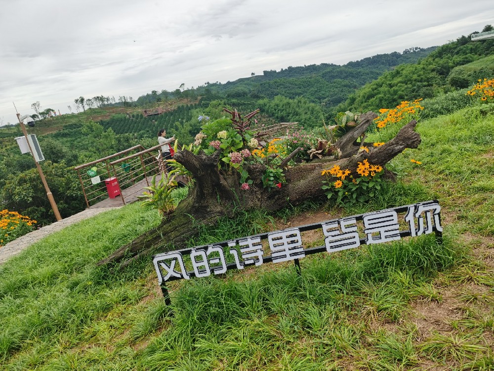 家庭危机之应对：正确处理小三、出轨与婚外情