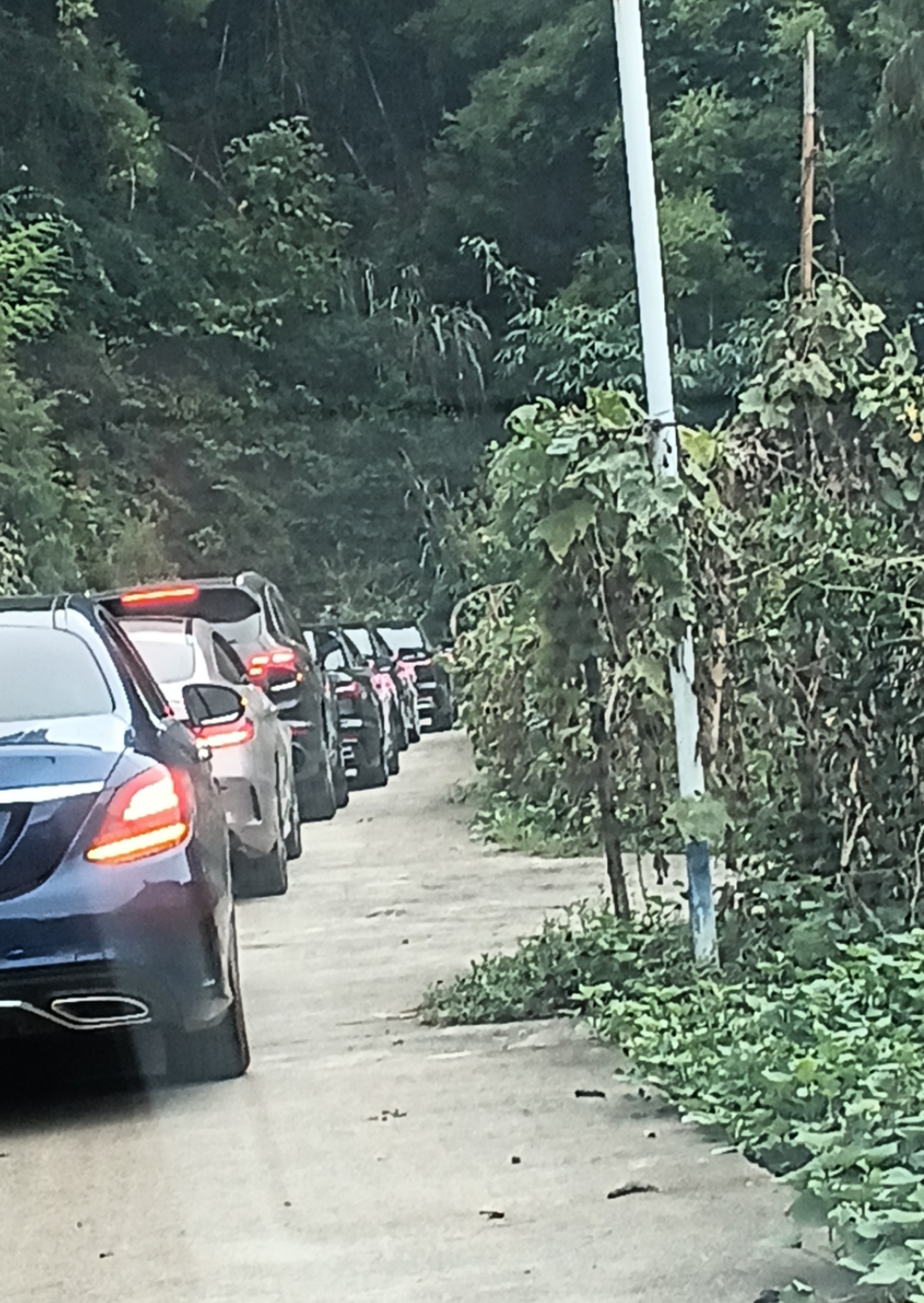微信图片_20241013171635.jpg