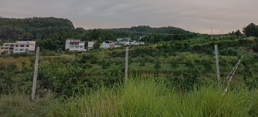 四川省调查公司-天眼取证网：专业取证调查的工作流程揭秘