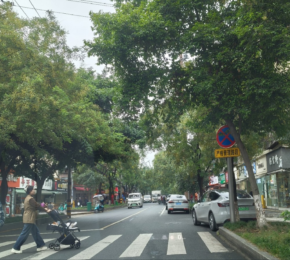 成都市婚姻守护之网：出轨调查取证全攻略