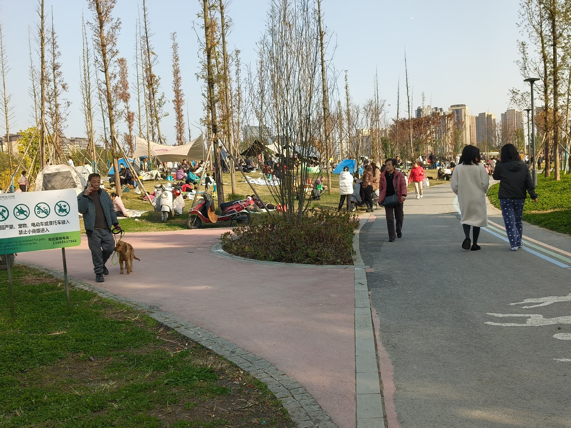 微信图片_20241220111509.jpg