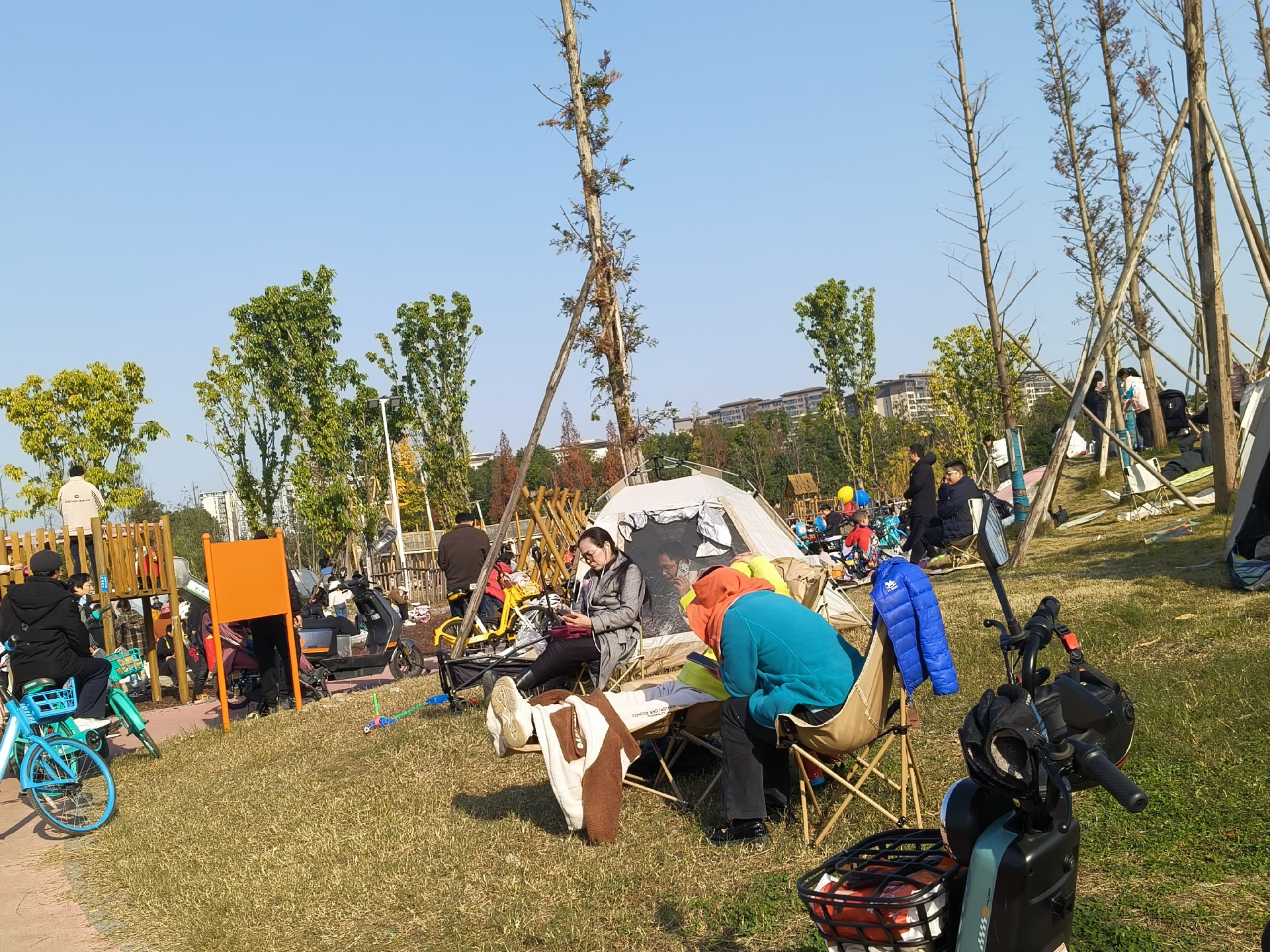 微信图片_20241220111454.jpg