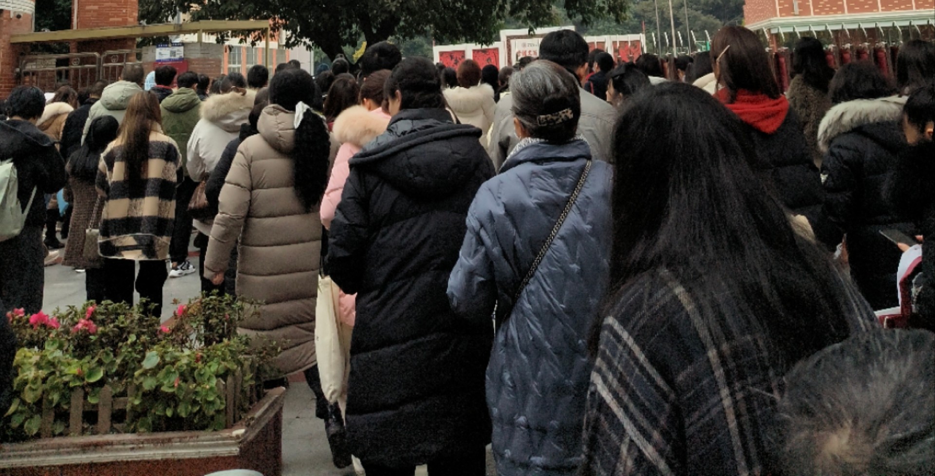 微信图片_20250207114758.jpg