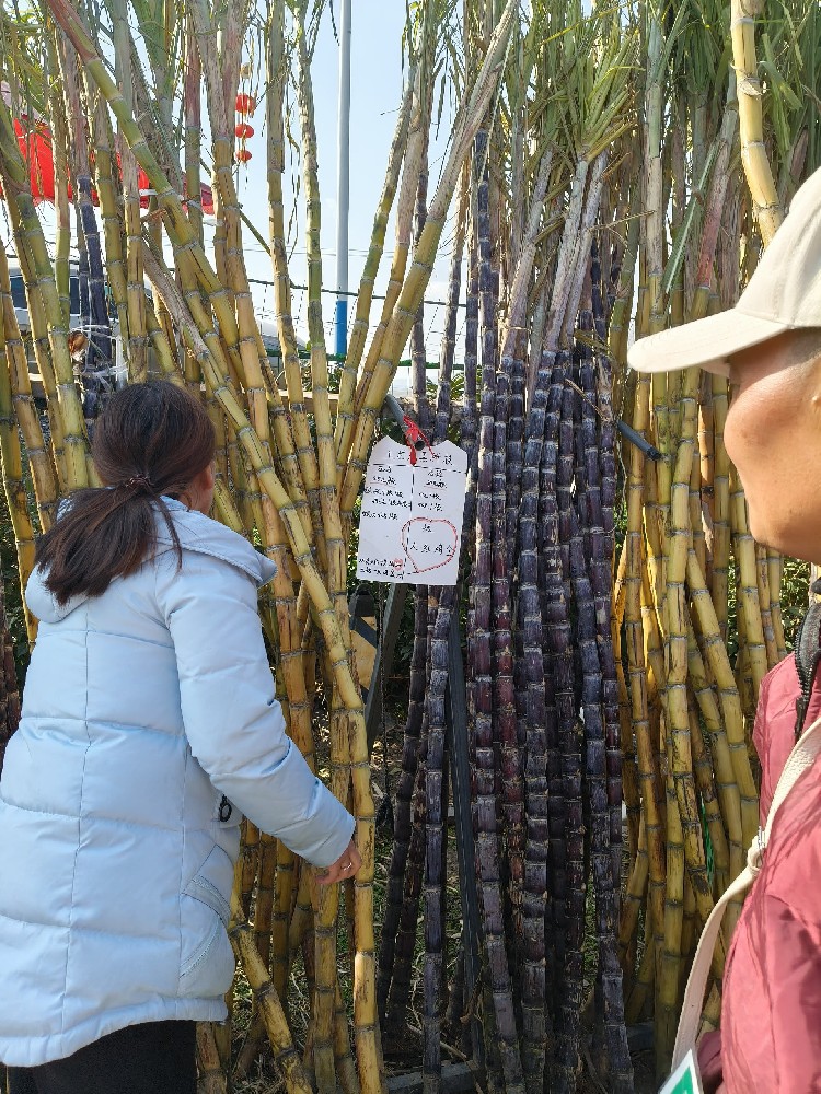 天眼四川寻人网：开启寻找失联战友的希望之门