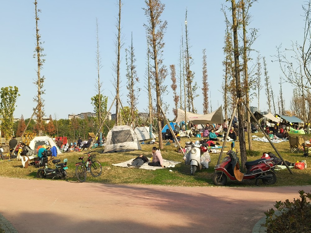 专业定位寻人找人网：先寻踪，后付费的安心之选