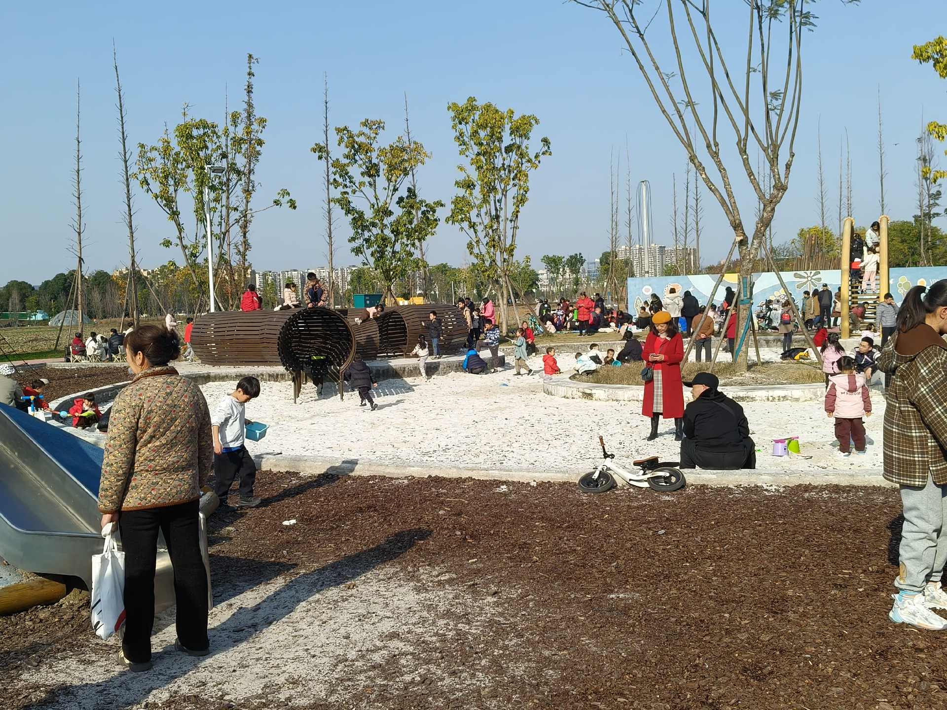 微信图片_20241220111443.jpg