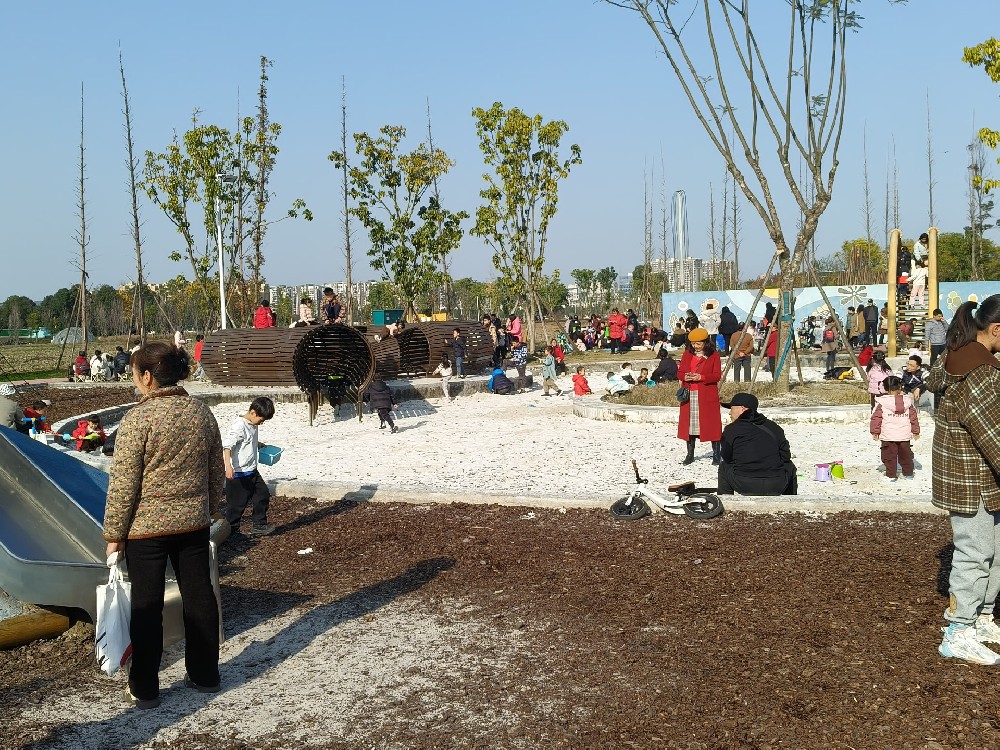 成都侦探网：市场调查真相的可靠通道