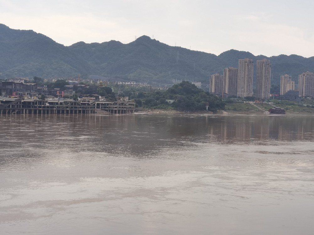 成都市调查公司取证：专业、合法、高效的真相探寻之道​