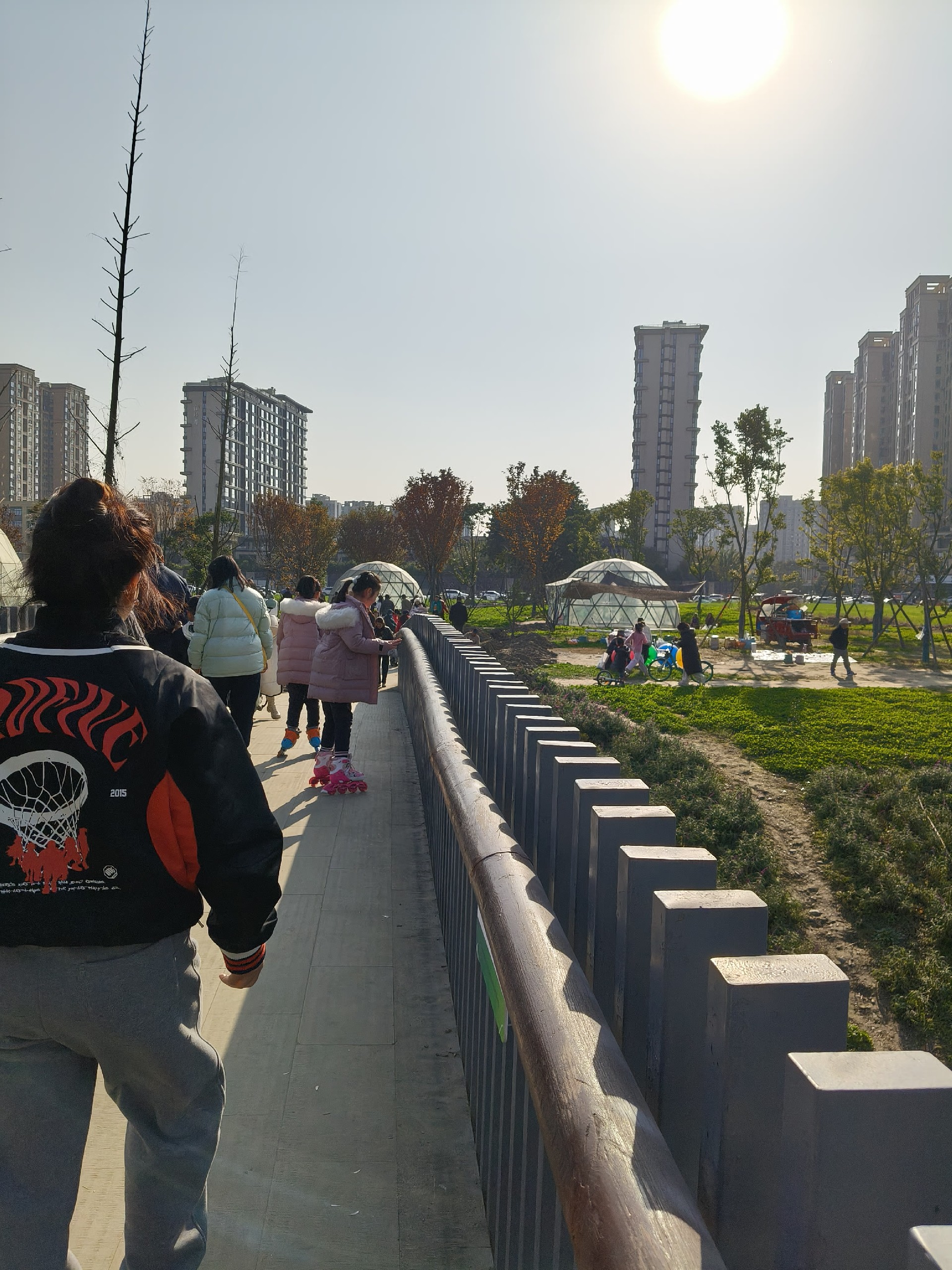 微信图片_20241220111539.jpg