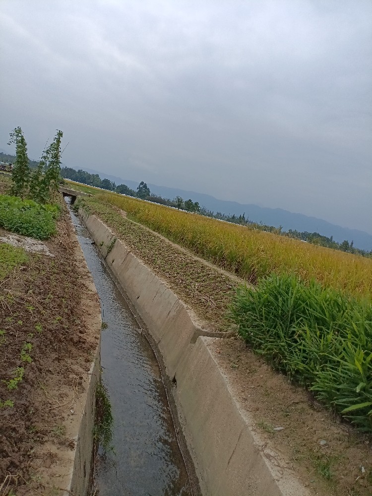 调查追踪实录：每一步都暗藏玄机